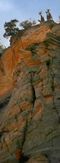 Two goats standing on a rocky cliff against a natural backdrop.