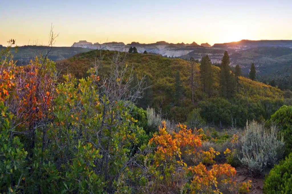 A scenic landscape featuring colorful foliage at sunset, with distant mountains in the background.