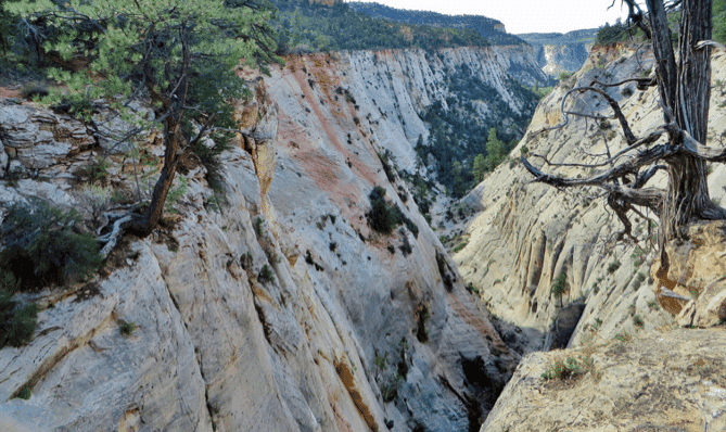 A narrow canyon with layered rock formations and sparse vegetation.