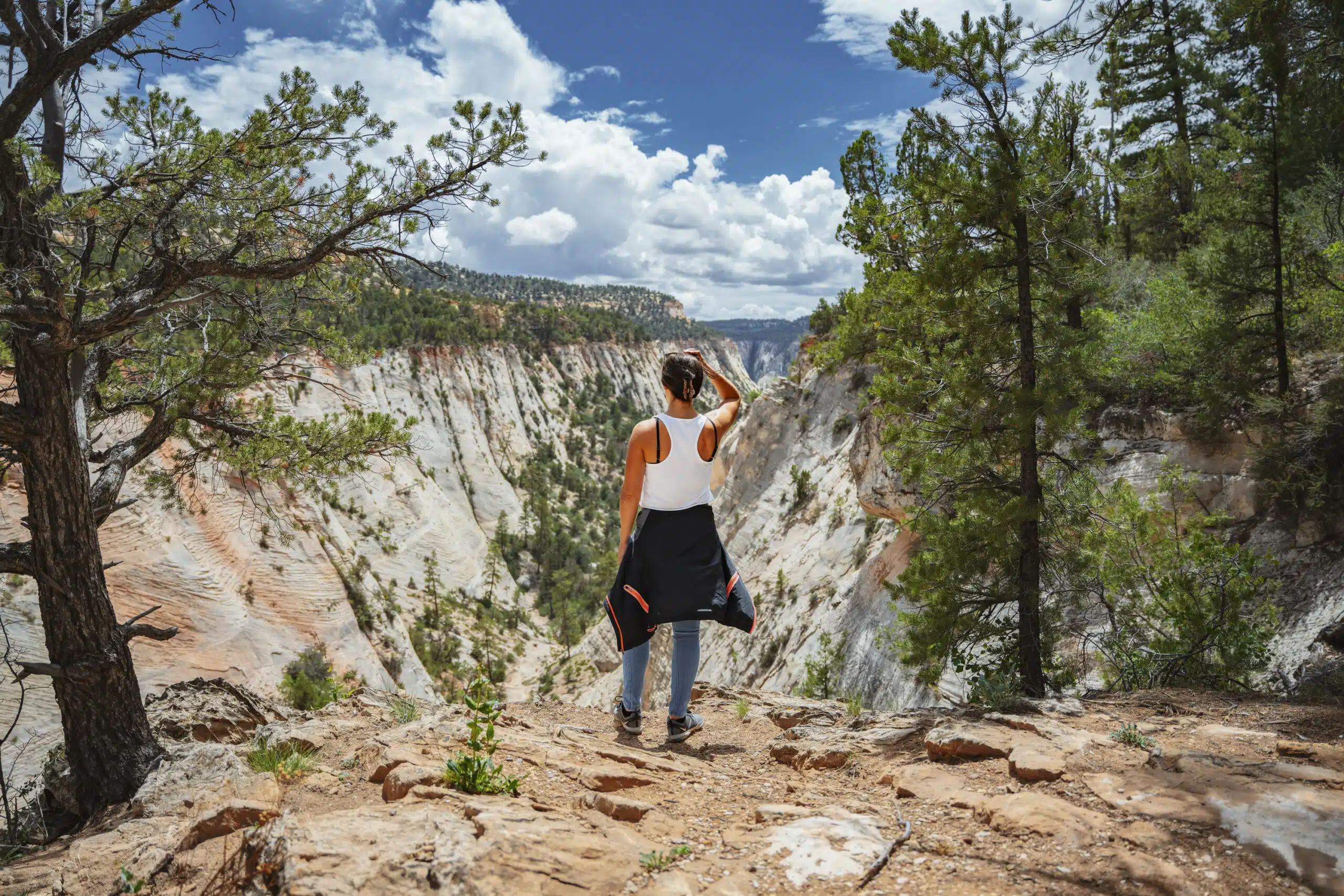 Person standing on a cliff overlooking a canyon with trees and a blue sky.