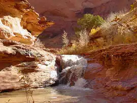 A small waterfall flows through red rock canyons surrounded by sparse vegetation.