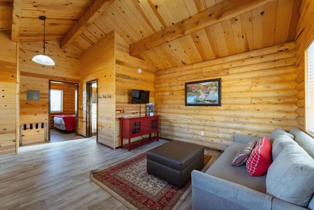 Cozy living area in a log cabin featuring wooden walls, a gray sofa, and a small TV.