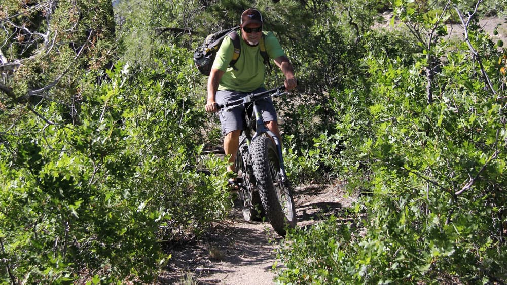 A cyclist rides a fat bike on a trail surrounded by greenery.