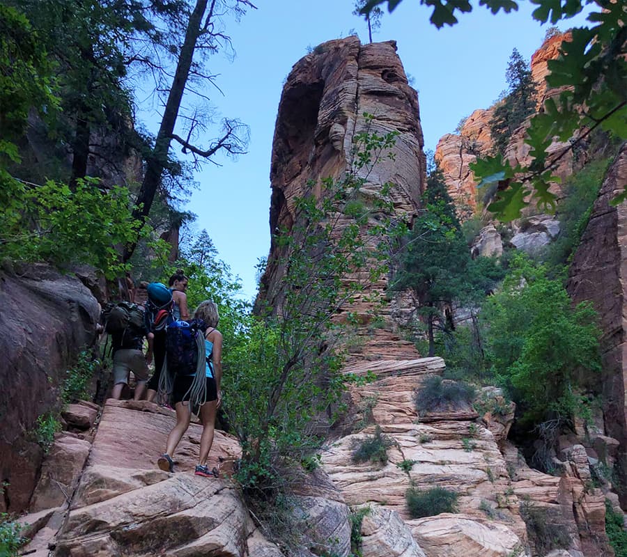 A group of hikers ascends a rocky trail surrounded by tall cliffs and lush greenery.