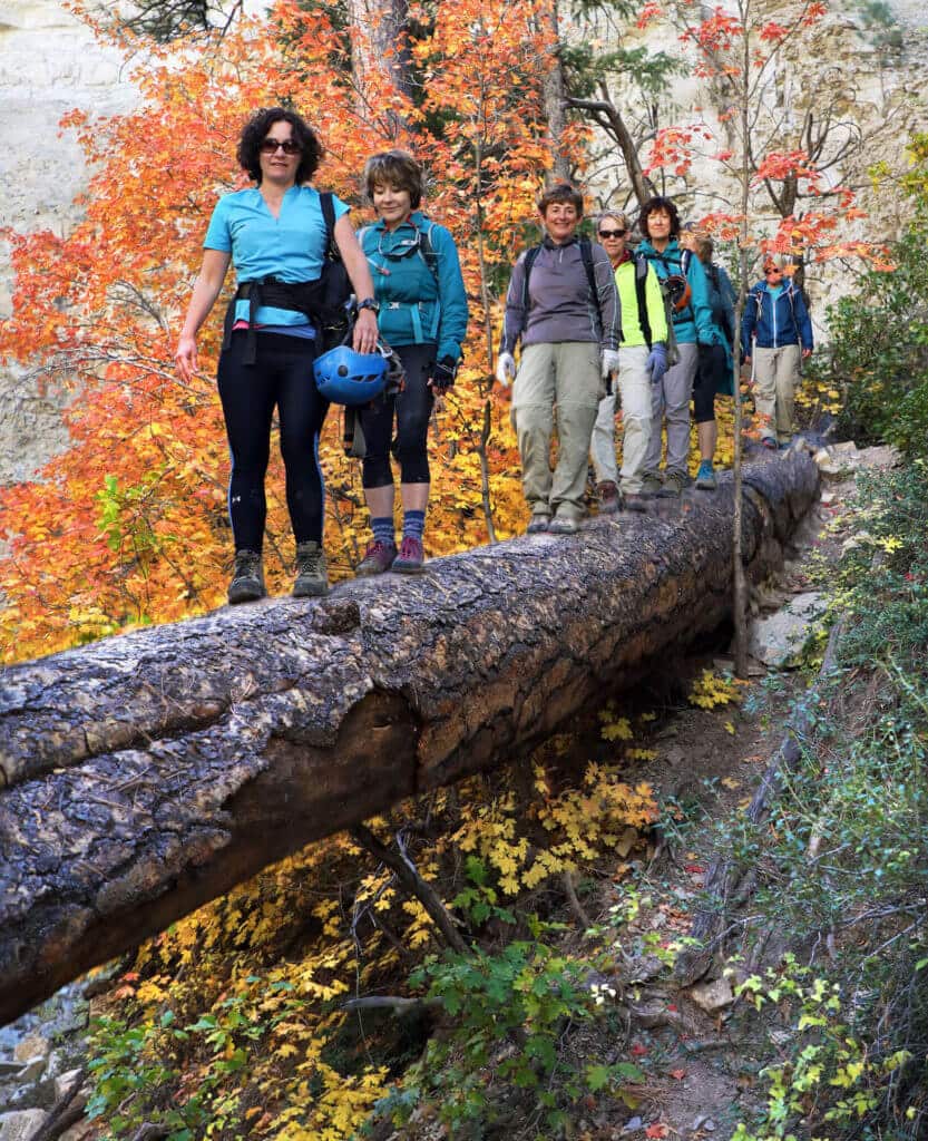 A group of six hikers walks along a fallen log surrounded by vibrant autumn foliage.