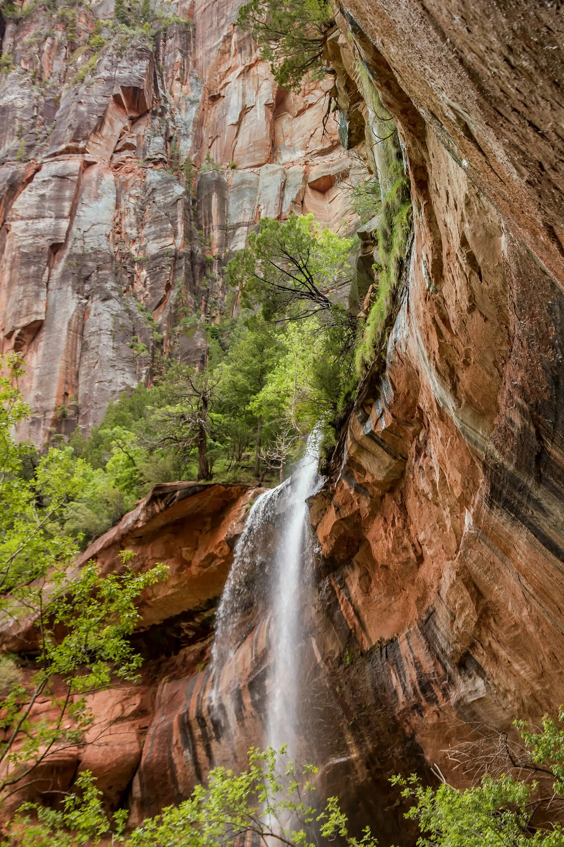 A waterfall cascades down a rocky cliff surrounded by lush greenery.
