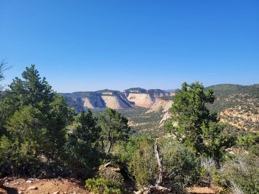 A panoramic view of canyons and distant mountains under a clear blue sky, surrounded by green foliage.