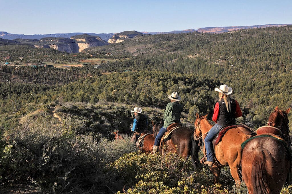 Three riders on horseback admire a scenic landscape of hills and forests.