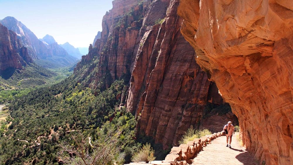 A hiker walks along a scenic trail surrounded by towering rock formations in Zion National Park.