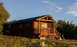 Log cabin with a green metal roof surrounded by trees.