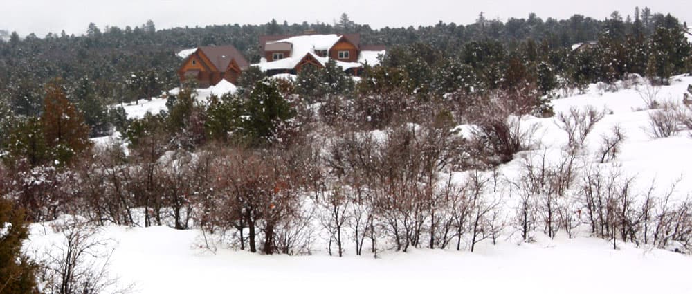 Snow-covered landscape with a cabin surrounded by trees in the background.