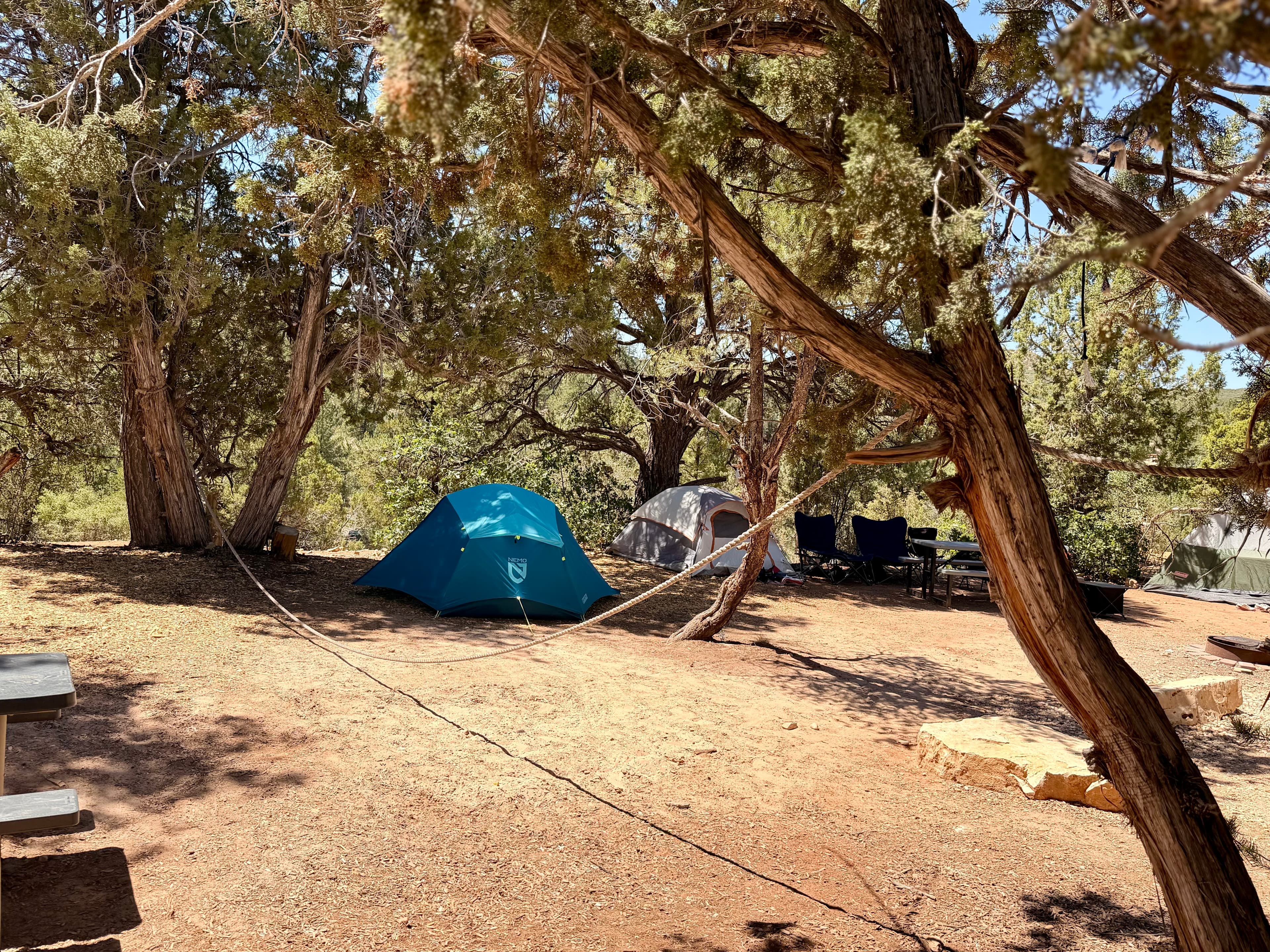 A turquoise tent is set up among trees in a campsite with other camping gear in the background.