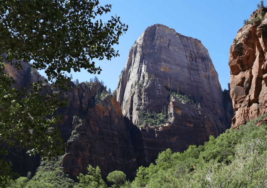A towering rock formation rises amidst green foliage in a canyon.