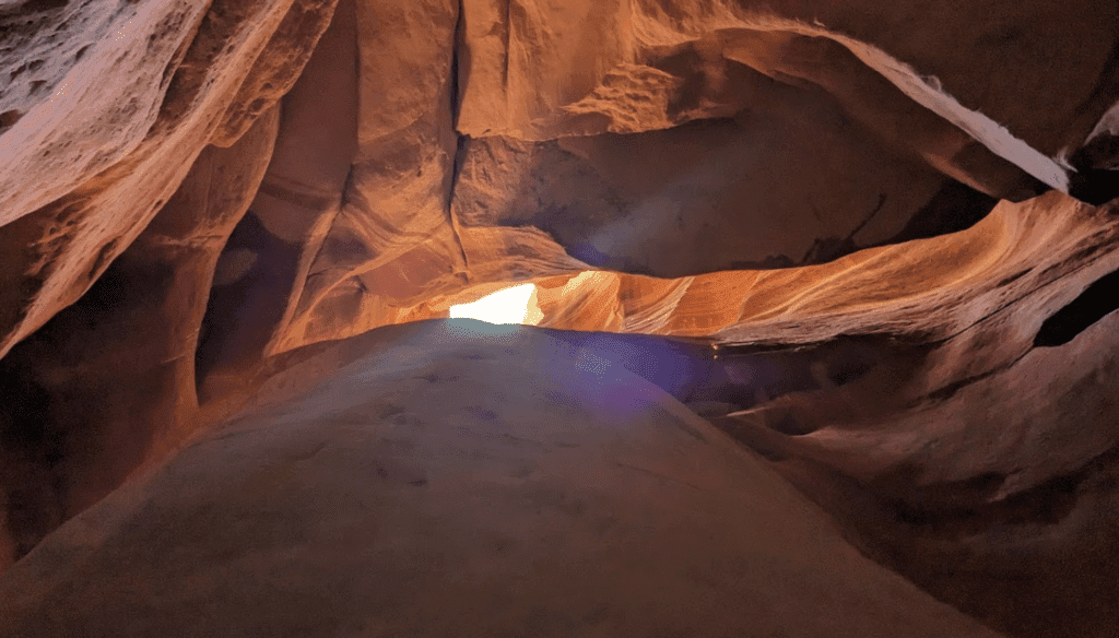 View of a narrow canyon with light streaming in from above.