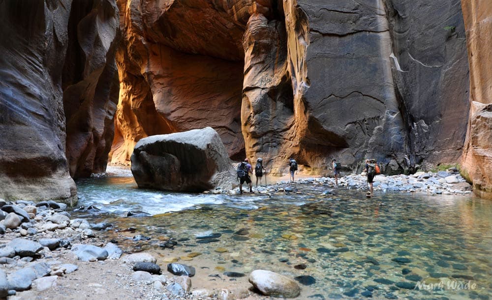 A group of hikers wades through a narrow canyon with steep walls.