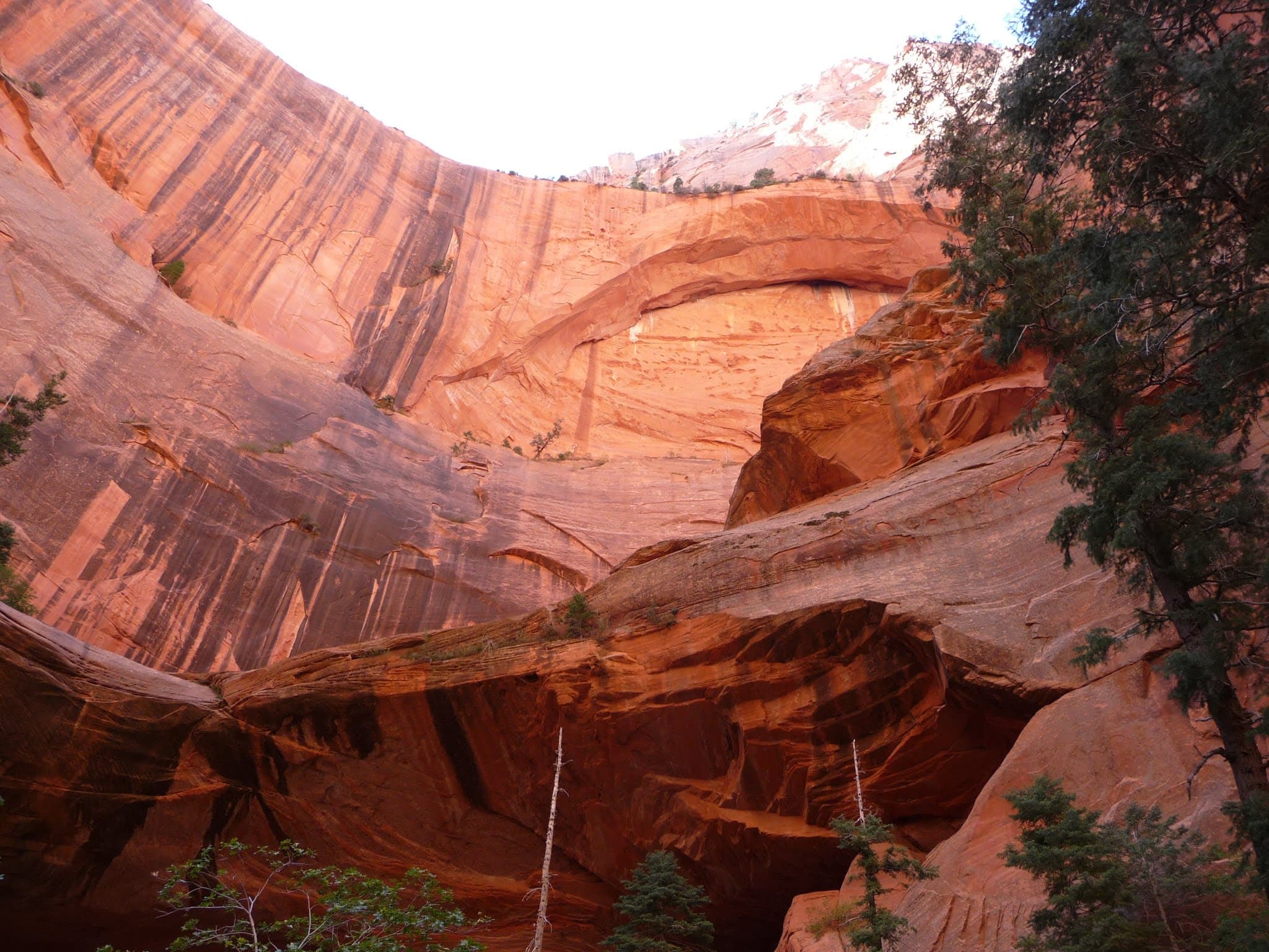 A towering red rock canyon with steep vertical cliffs and patches of greenery at the base.
