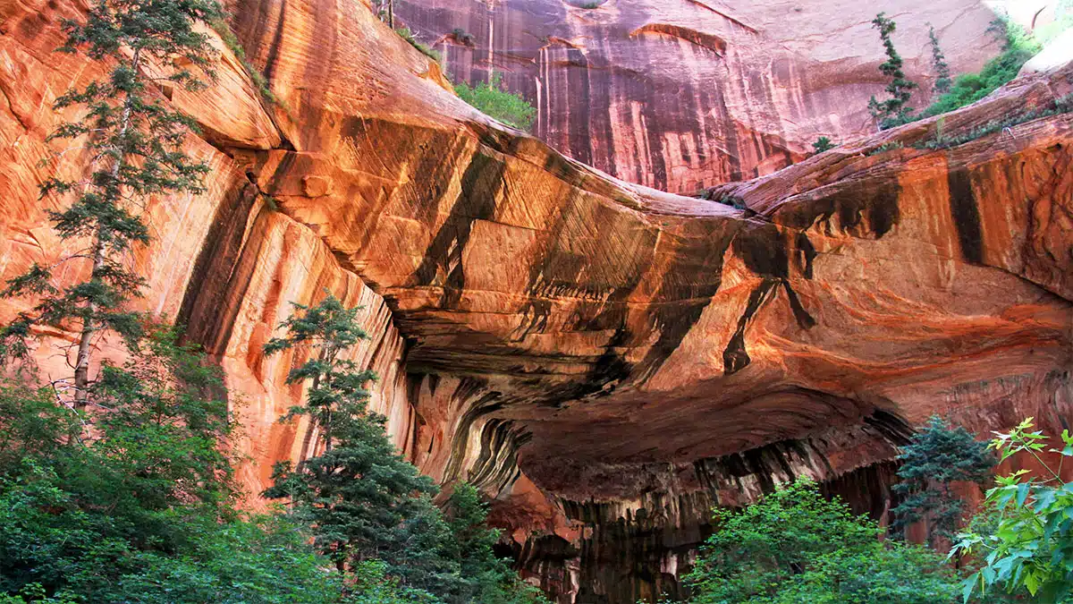 A dramatic sandstone cliff looms over lush greenery in a canyon.