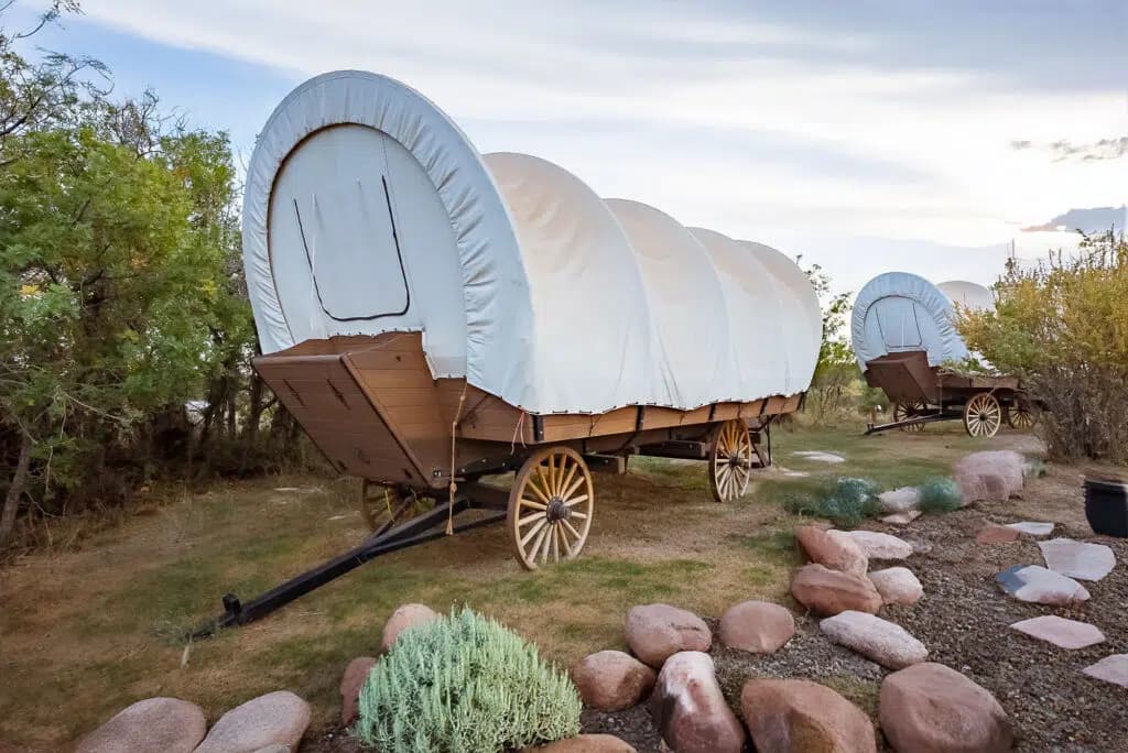 Two covered wagons parked in a grassy area with rocks and shrubs nearby.