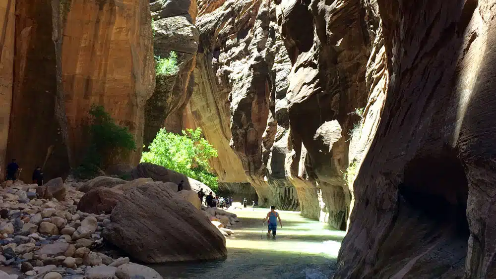 A person wades through a narrow canyon with towering rock walls and a stream.