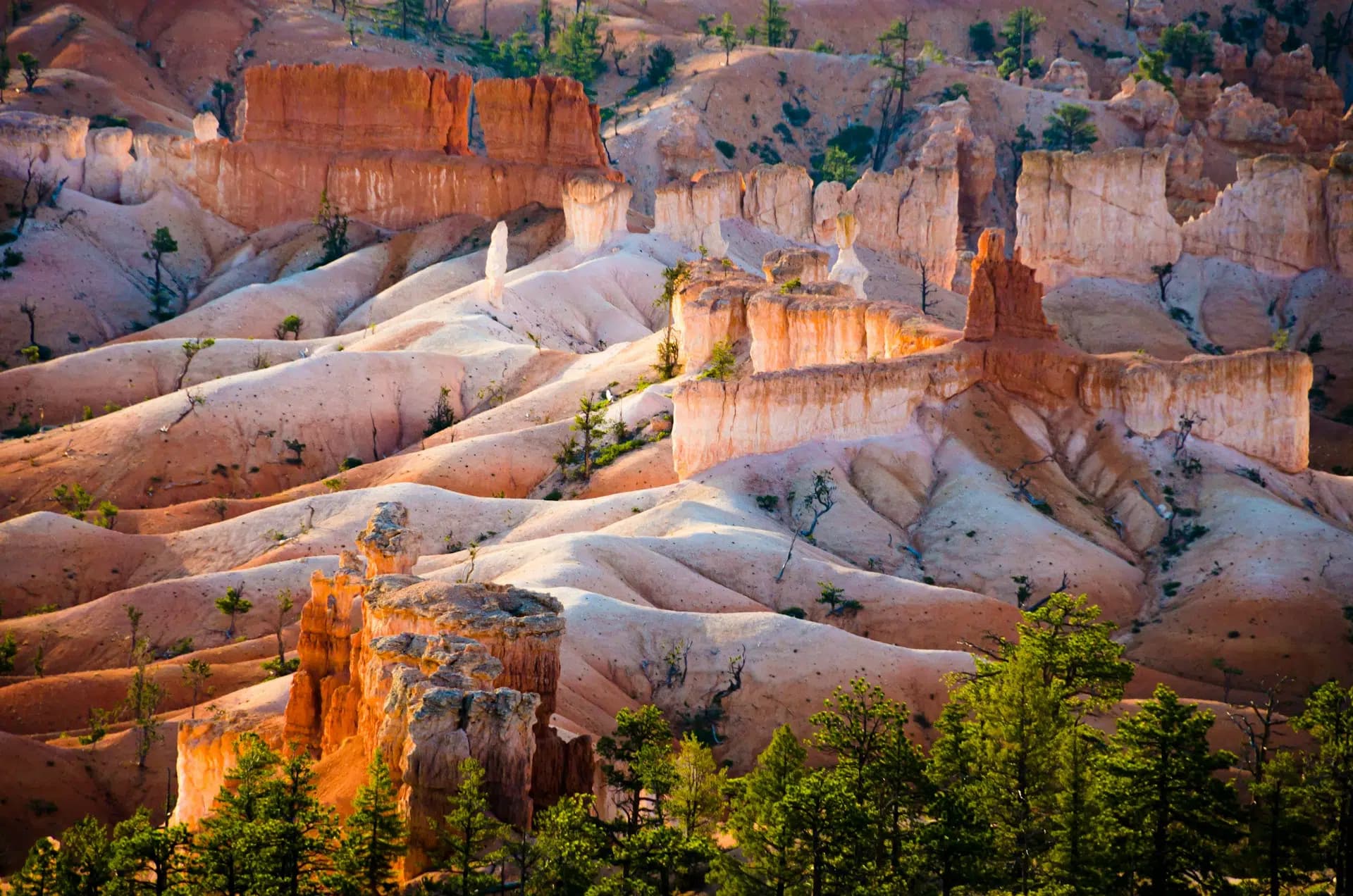 Sunlit red and orange rock formations rise amidst green pine trees in a rugged landscape.