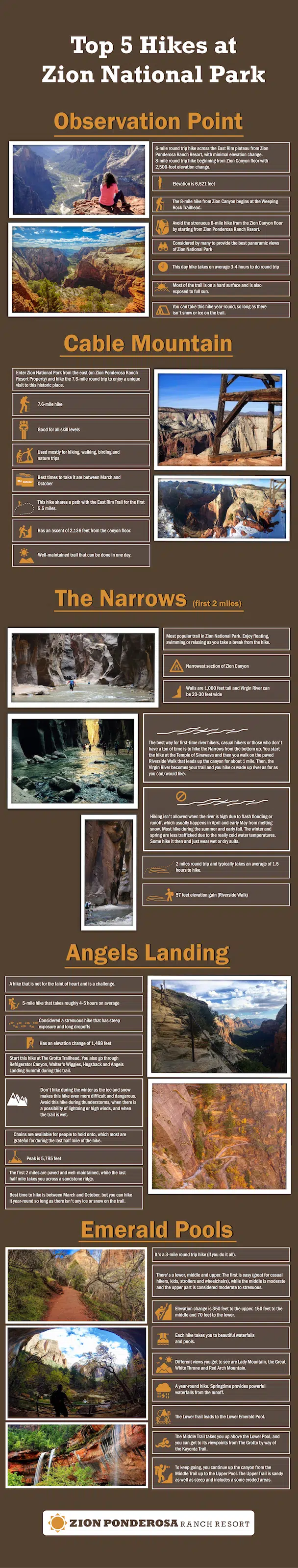Infographic detailing the top five hikes in Zion National Park, including key features and trail information.