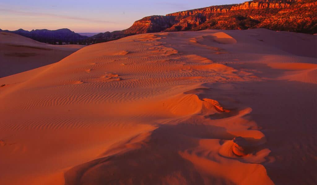 Golden sand dunes illuminated by sunset, against a backdrop of rugged mountains.