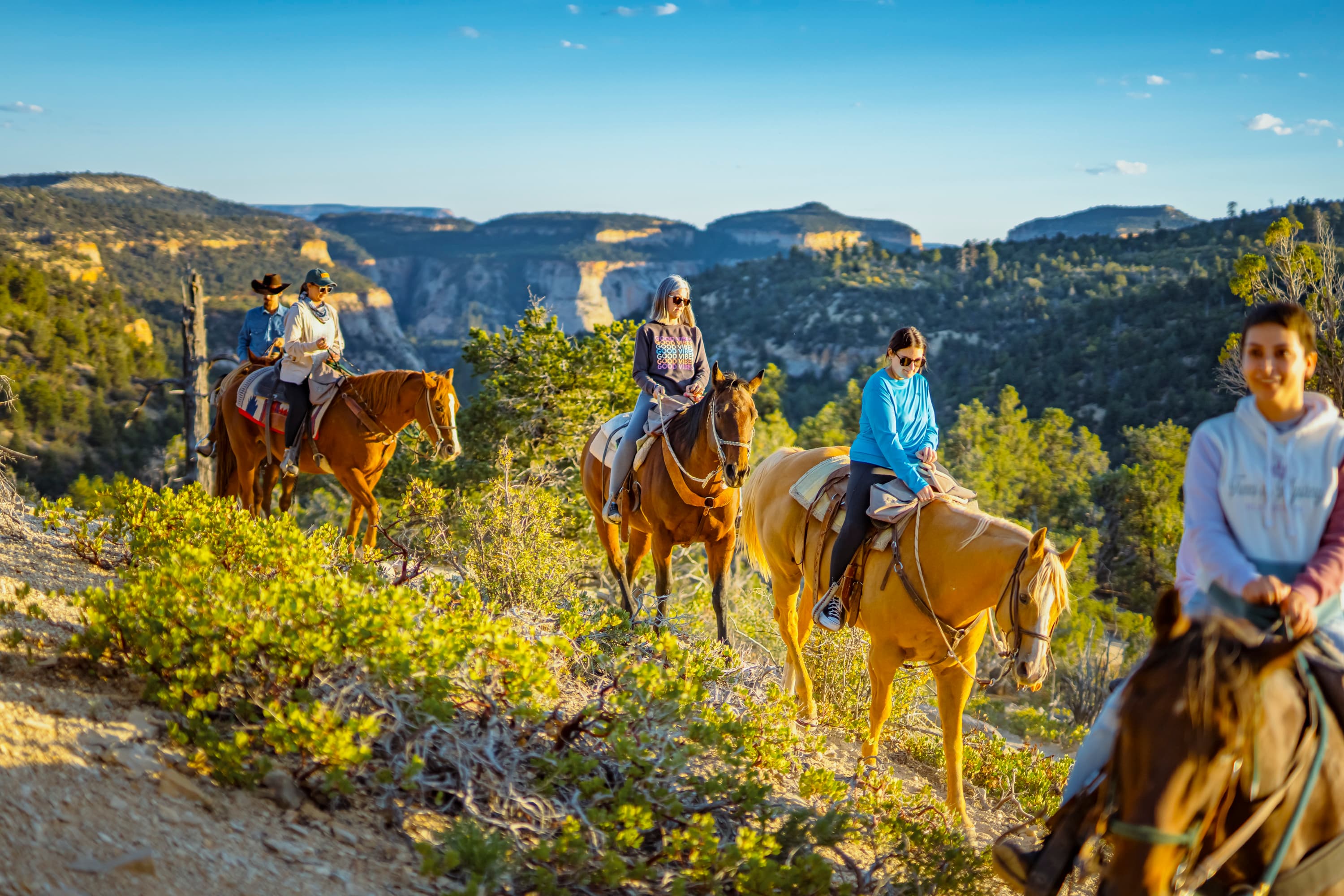 A group of people riding horses along a scenic trail with lush greenery and distant cliffs.