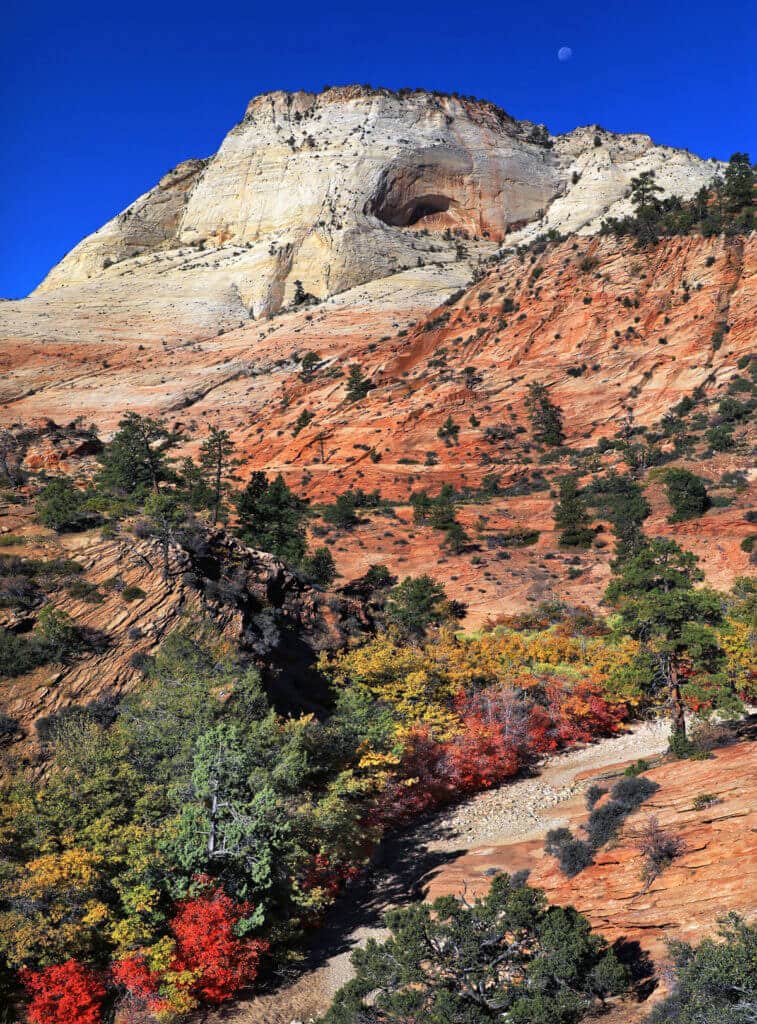 A rugged, multicolored mountain landscape under a clear blue sky.