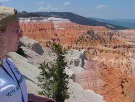 A person stands near the edge of a colorful canyon with layered rock formations.