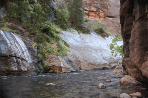 Virgin River