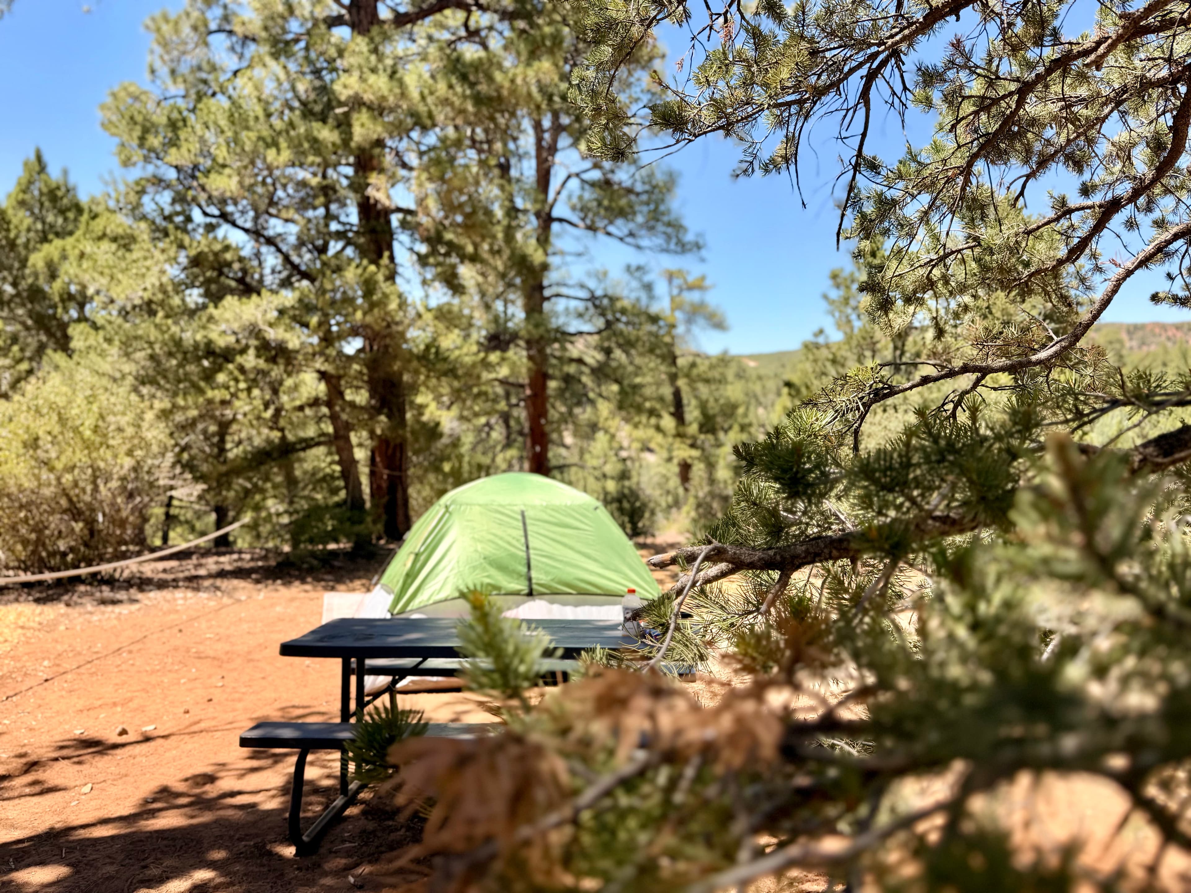 A green tent is set up next to a picnic table in a wooded camping area.