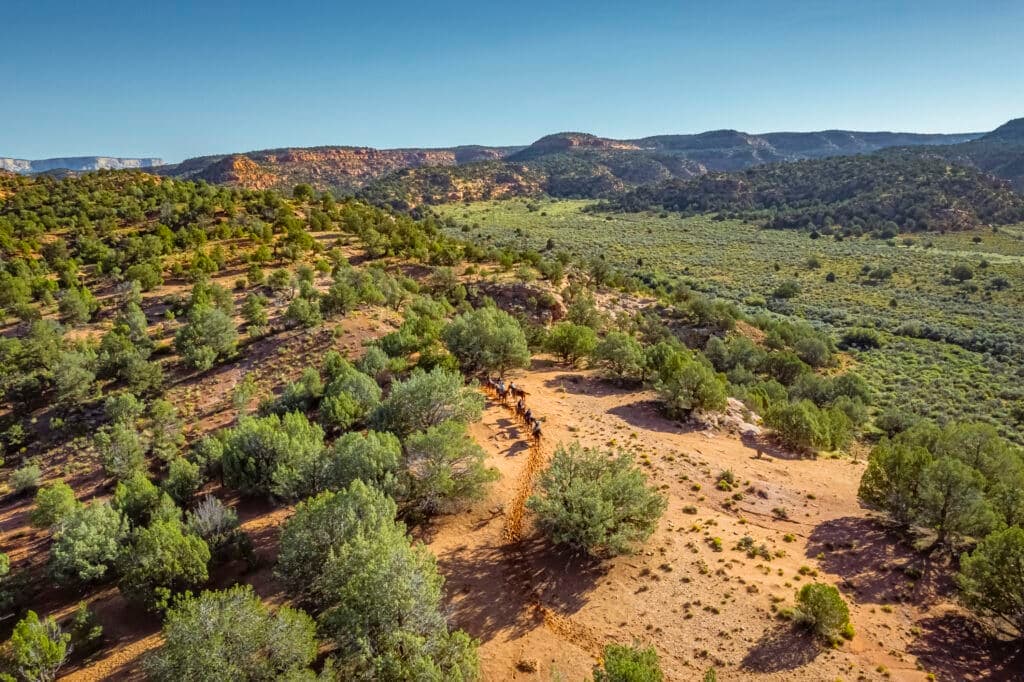 Aerial view of a lush, green valley surrounded by rugged hills and scattered trees.