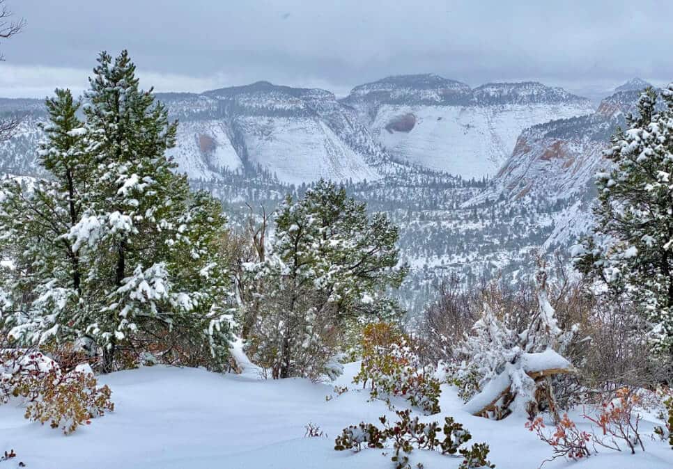 A snowy landscape featuring mountains and evergreen trees.