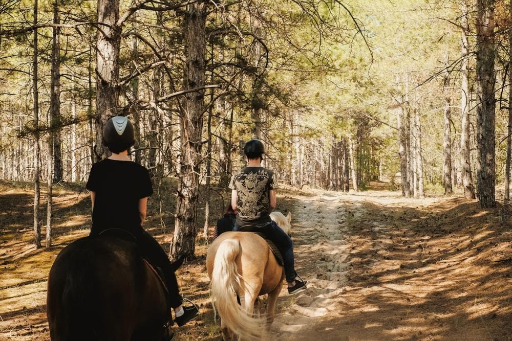 Two riders on horseback traversing a wooded trail.