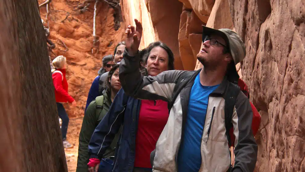 A group of hikers explores a narrow canyon, with one man pointing upwards while others look on.
