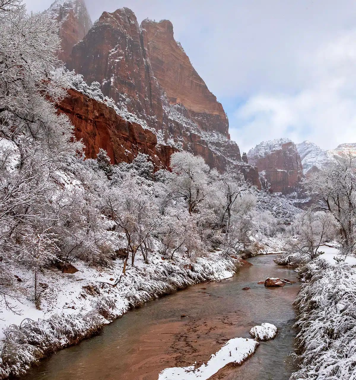 Winter Zion National Park
