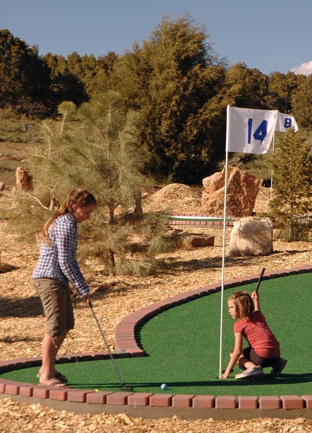 Two children play mini-golf in a sunny outdoor setting with a flag marking the hole.