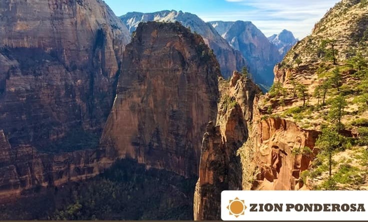 A panoramic view of Zion National Park's towering cliffs and lush valleys under a clear blue sky.
