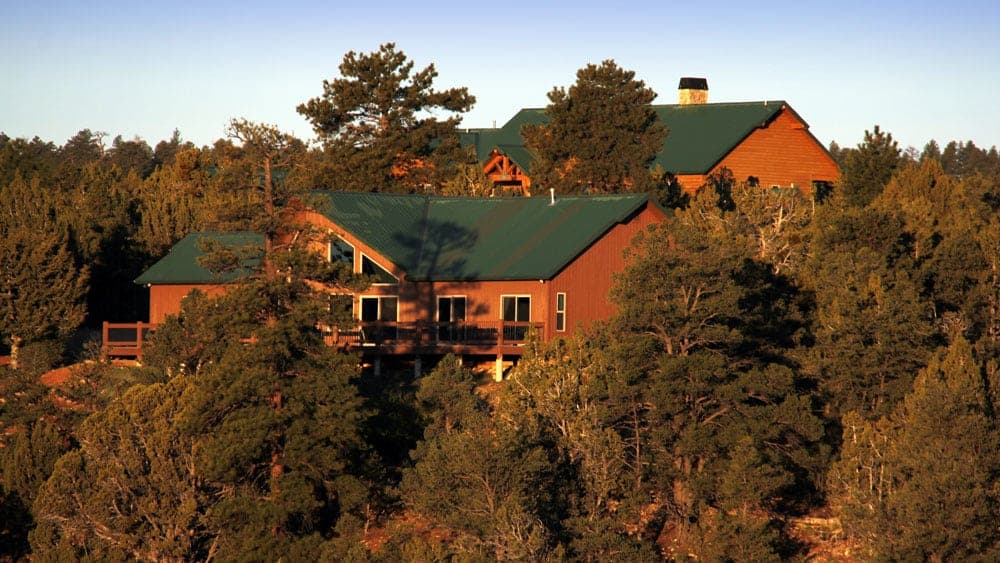 A large wooden cabin with a green roof nestled among tall pine trees.