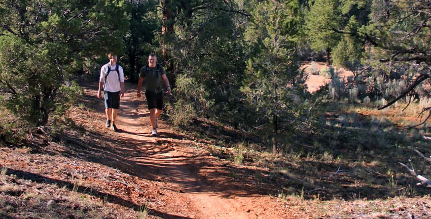 Two hikers walking on a dirt trail surrounded by trees.