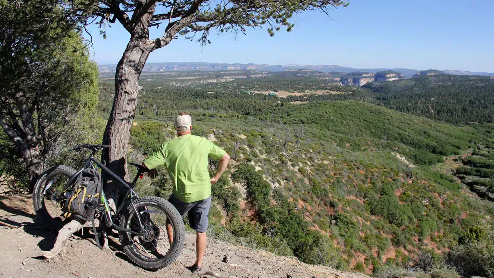 A person in a green shirt stands beside a mountain bike, gazing at a sprawling green landscape from a scenic overlook.