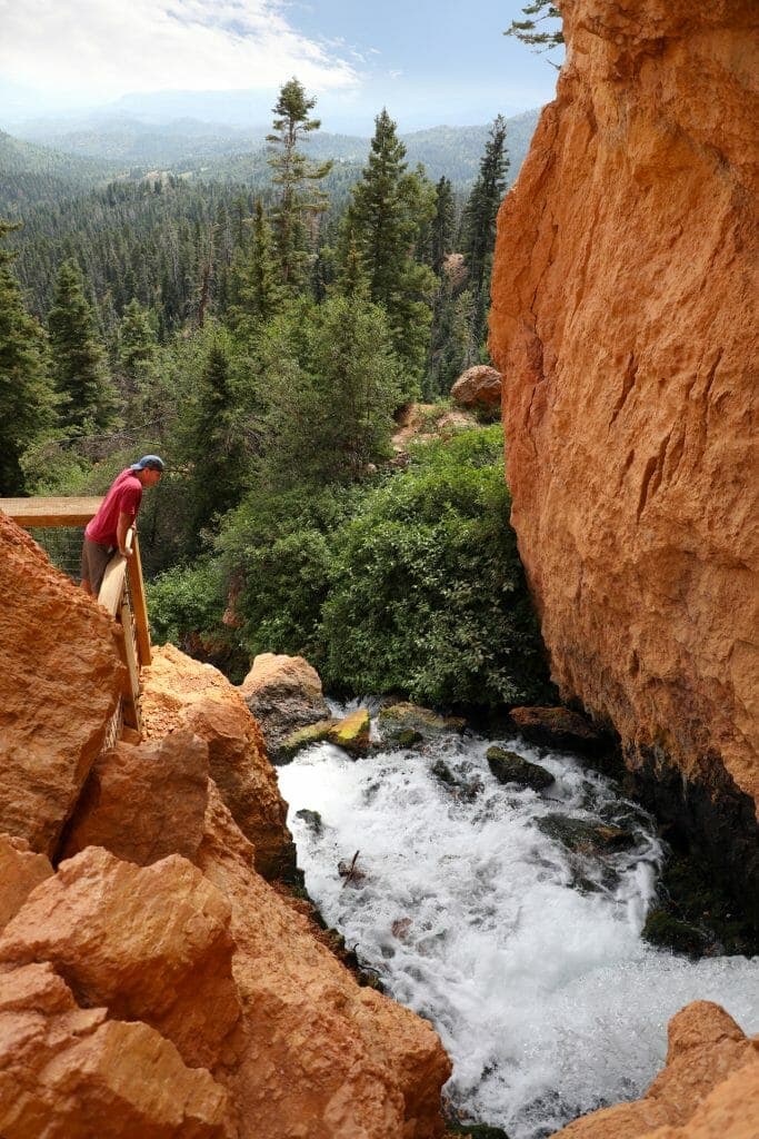 A person leans over a wooden railing, overlooking a rushing stream surrounded by rocky cliffs and lush trees.
