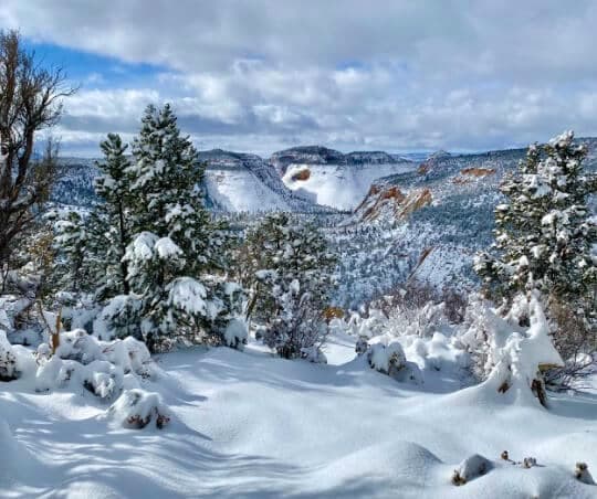 Snow-covered landscape with trees and mountains under a cloudy sky.