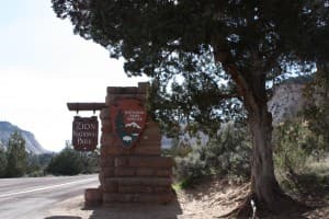 Sign for Zion National Park framed by trees and desert landscape.