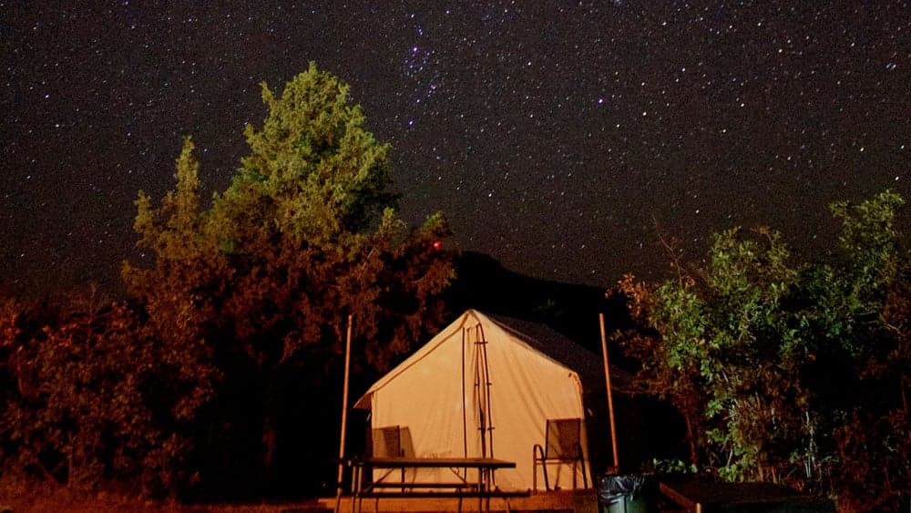 A camp tent sits under a starry night sky surrounded by trees.