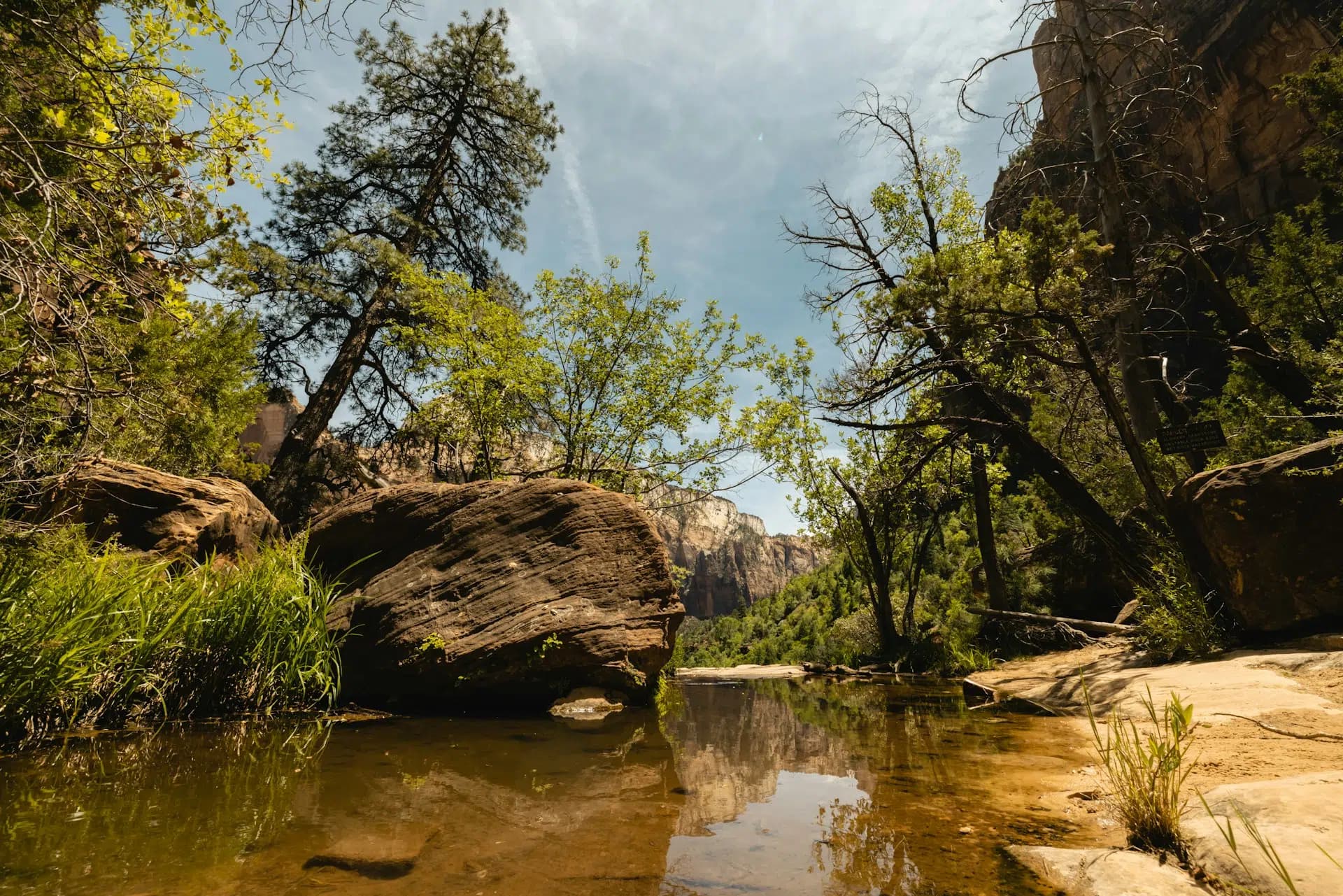 A serene riverbank scene with lush greenery and rocky formations under a clear blue sky.
