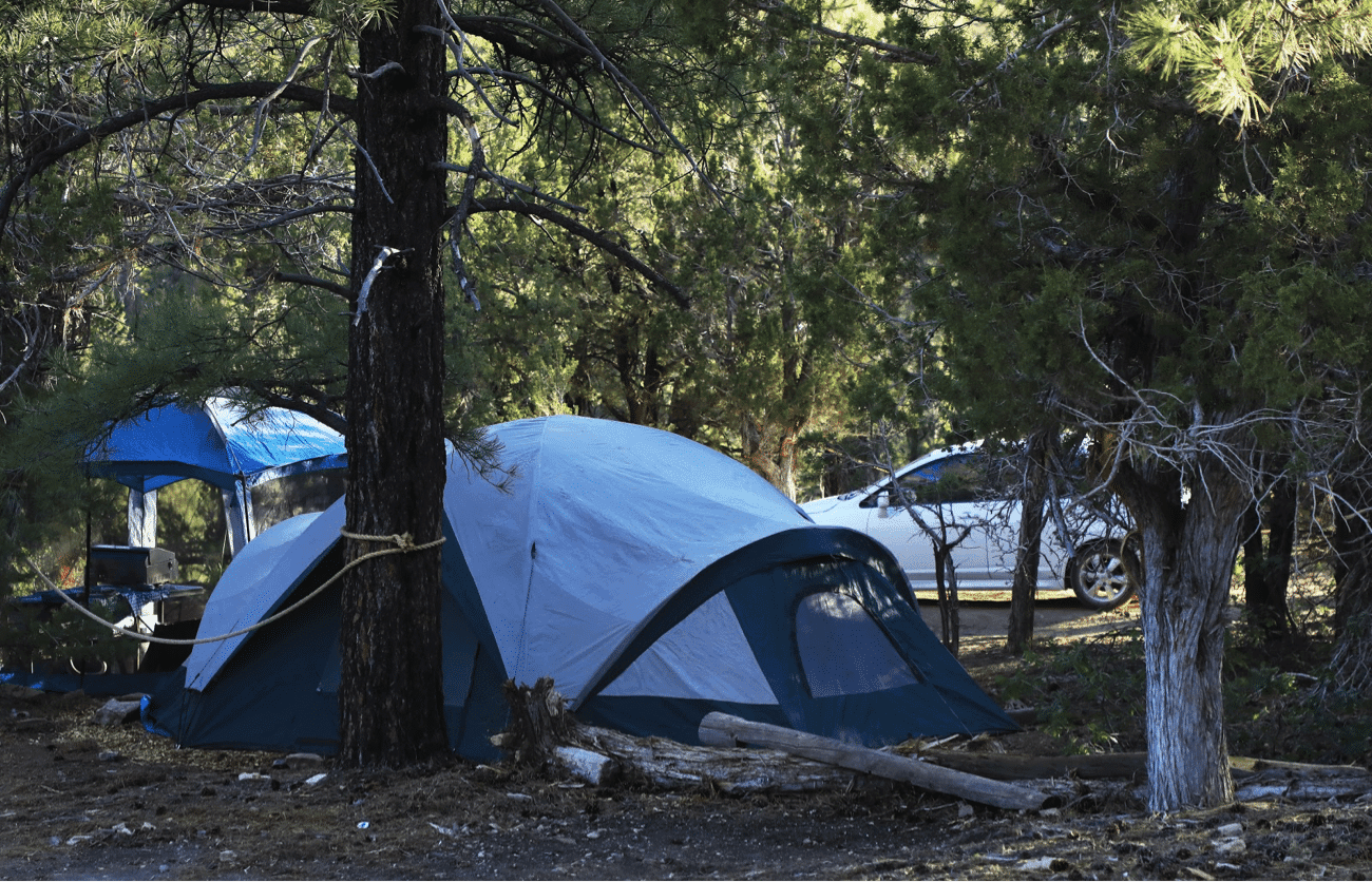 A blue and gray tent is nestled among trees at a camping site, with a car and another tent visible in the background.