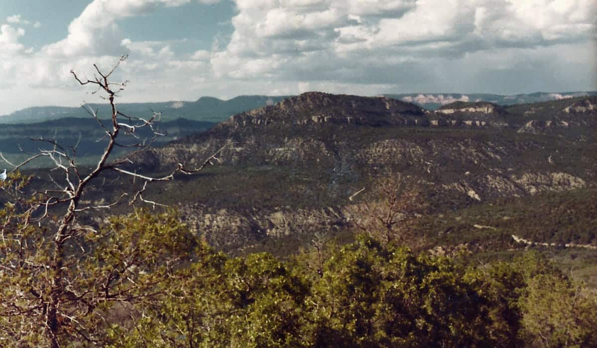 A panoramic view of rugged mountains under a partly cloudy sky, with foreground vegetation.