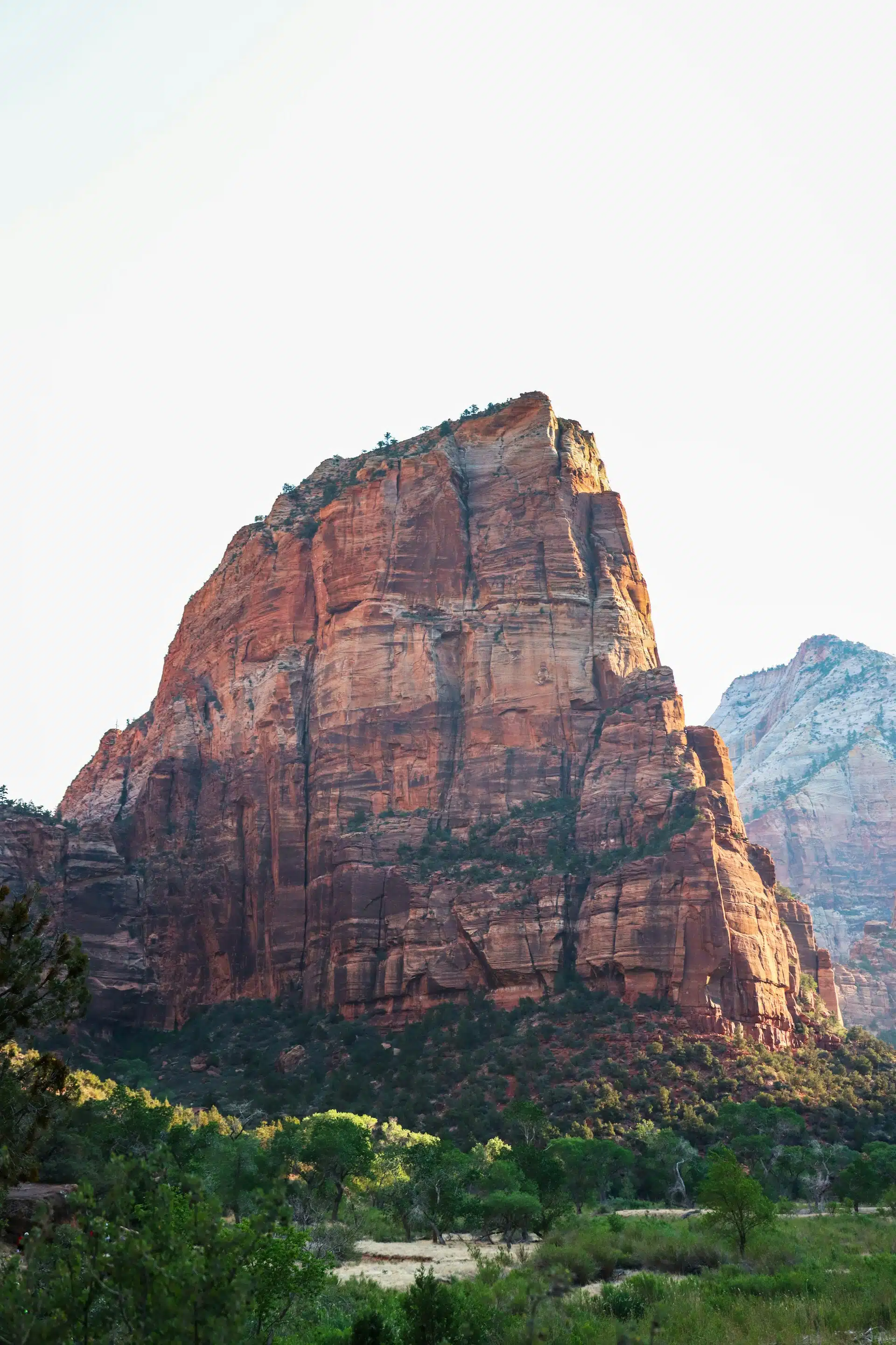 A towering red rock formation is framed by green vegetation and a clear sky.