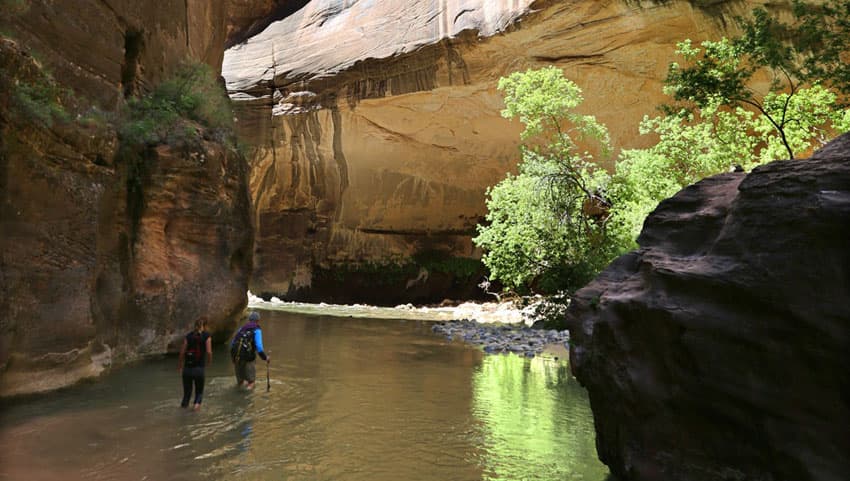 Two hikers wade through a river in a narrow canyon surrounded by towering rock formations and greenery.